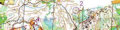 Löslapp