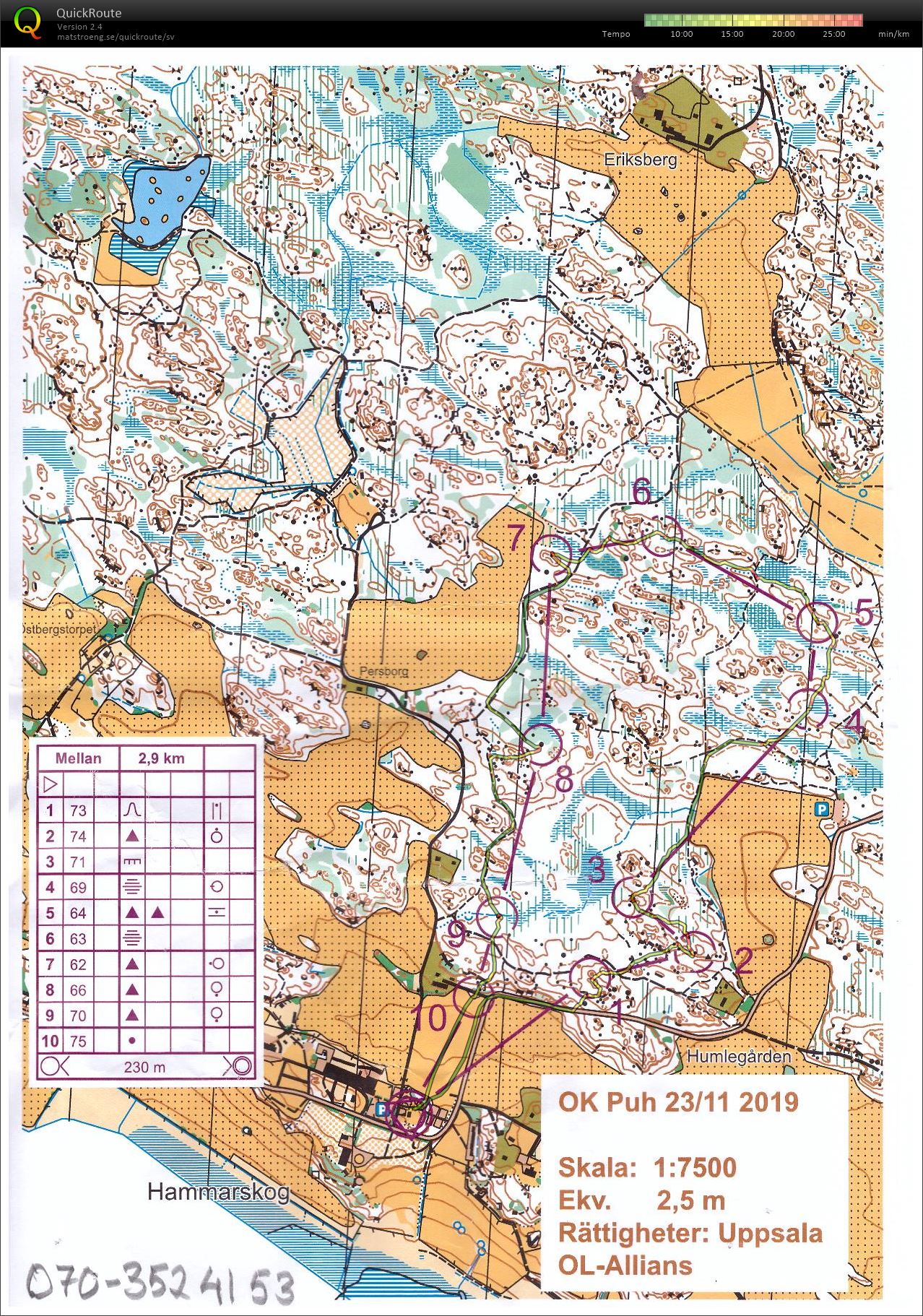 Hammarskog (23-11-2019)