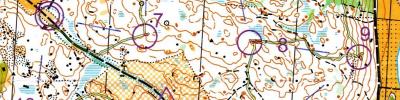 Löslapp Gunsta