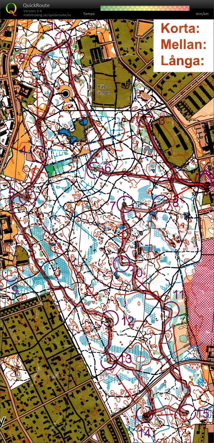 Löslapp i Stadskogen (2021-02-20)