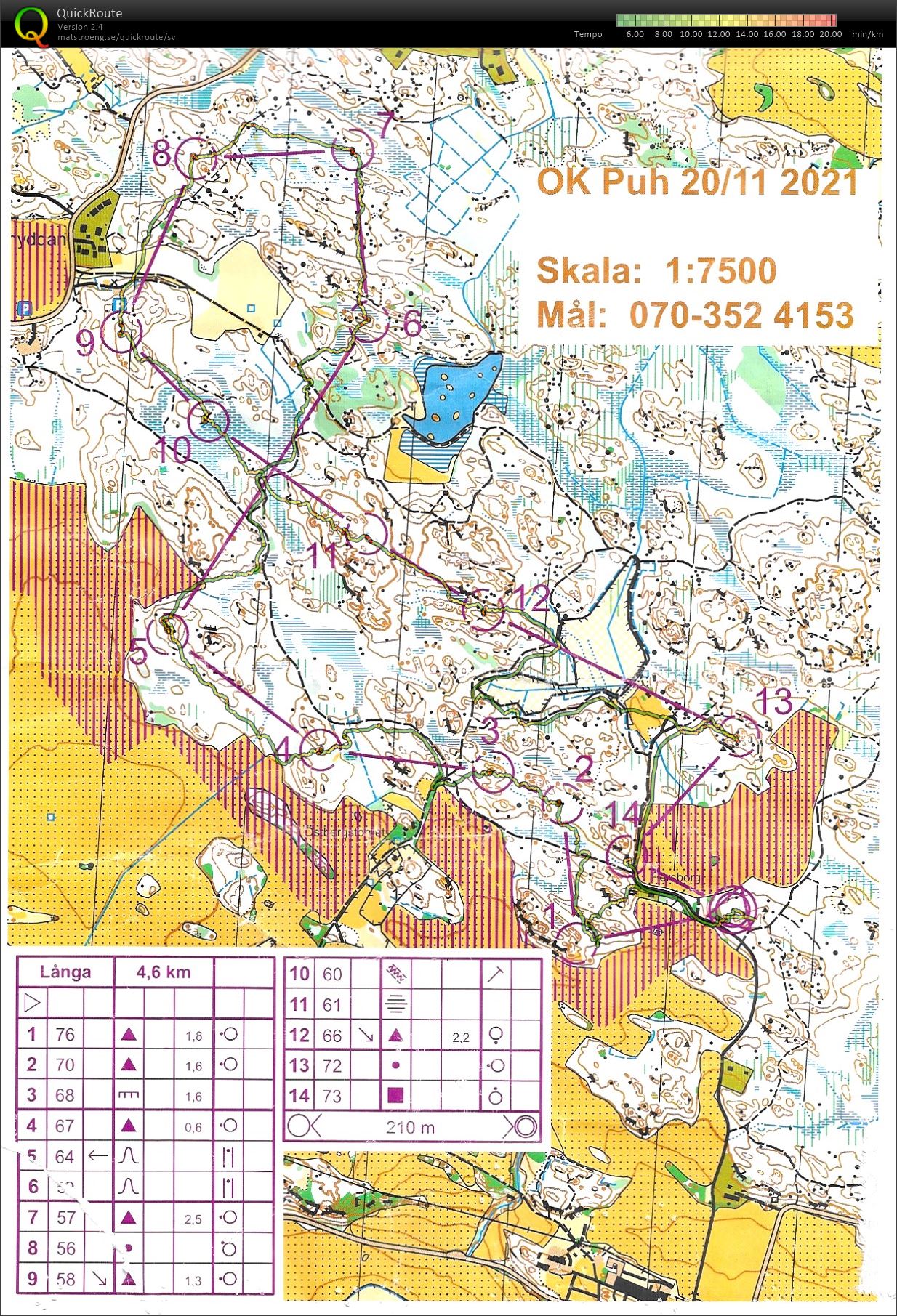 Hammarskog (2021-11-20)
