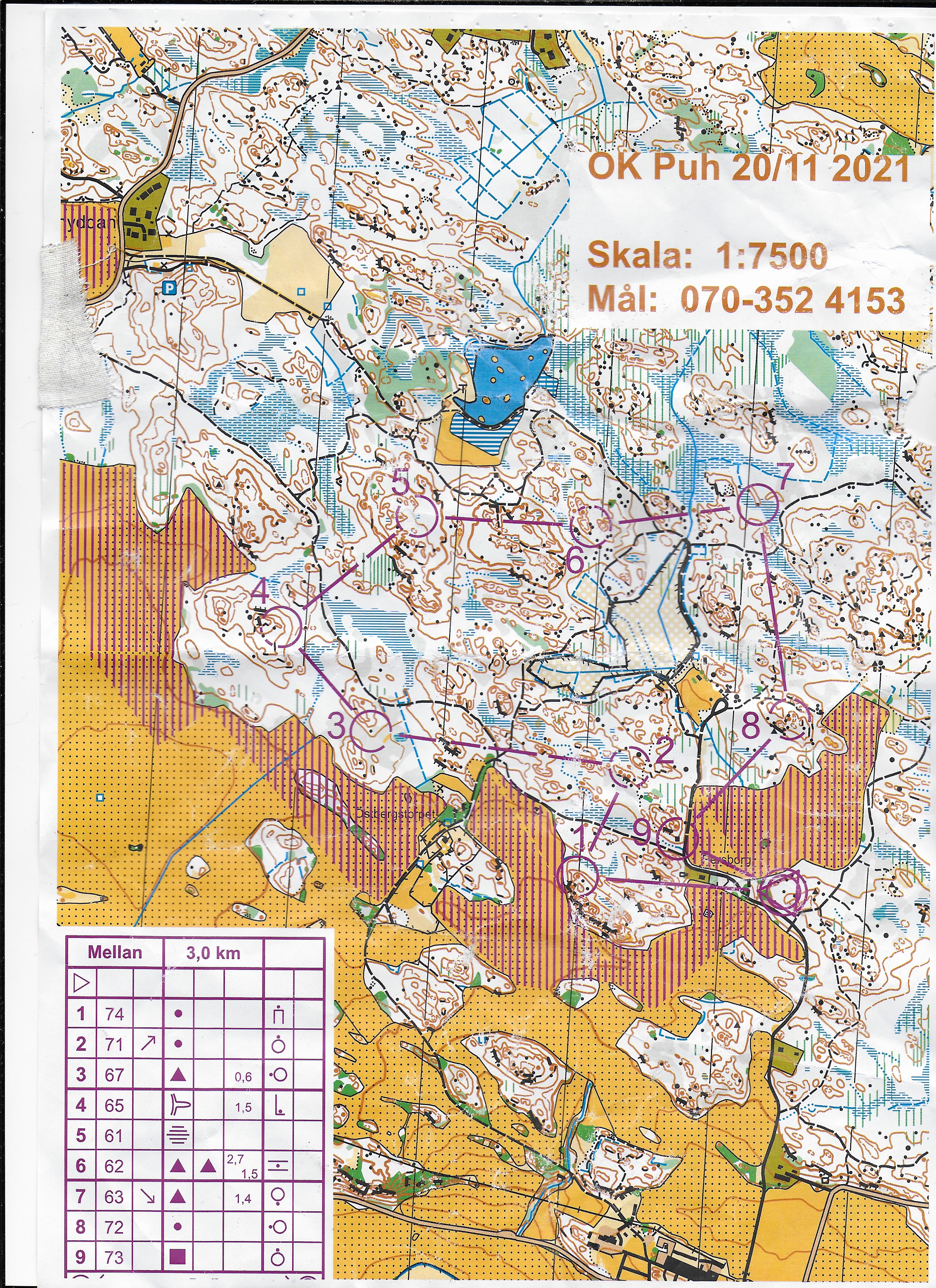 Hammarskog (2021-11-20)