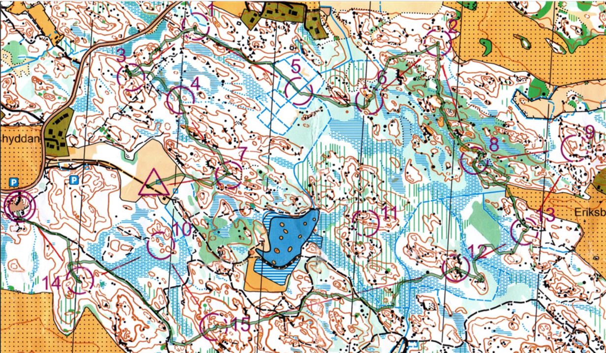 Löslapp Hammarskog (12.03.2022)