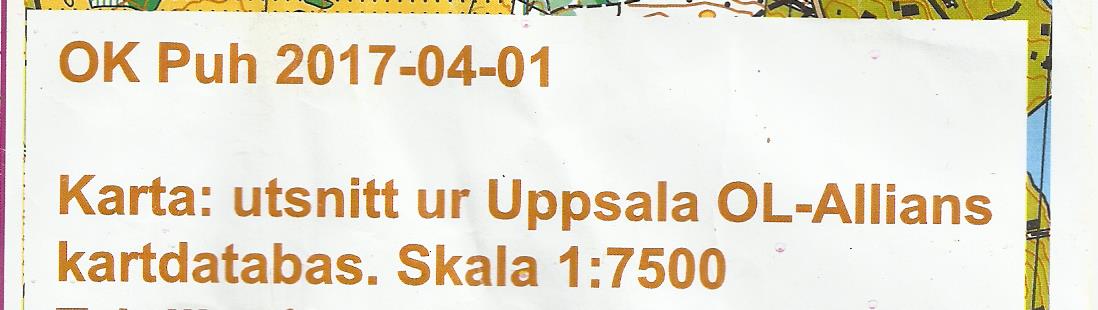 Puh årsmötet