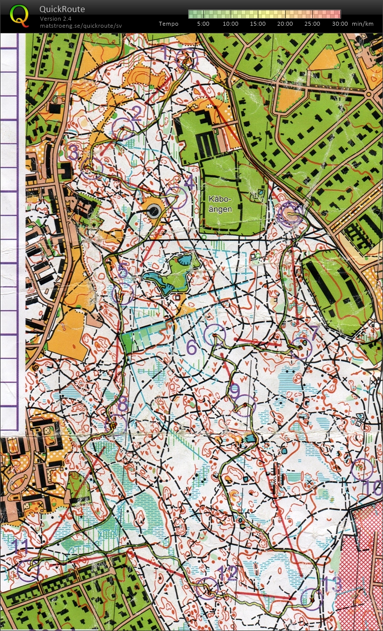 Löslapp i Stadskogen (03.02.2024)